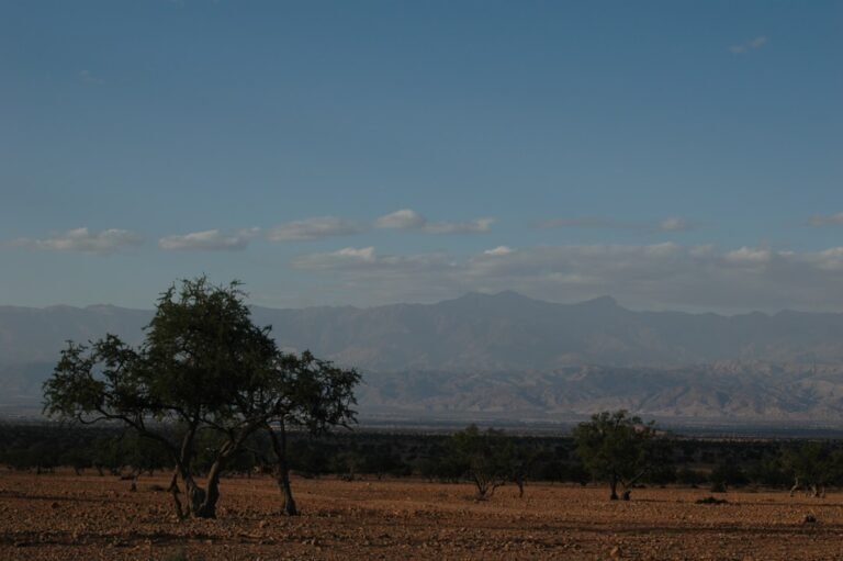 Photo Arosa line views