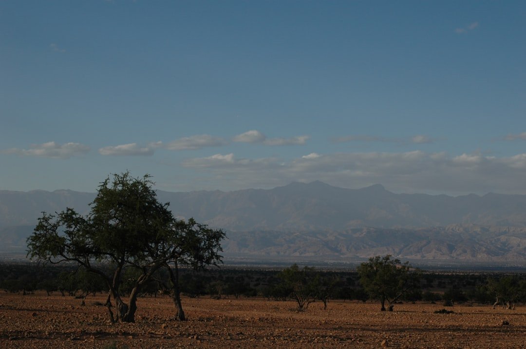 Photo Arosa line views