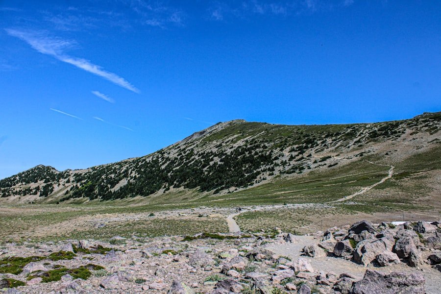 Photo Schynige Platte Panorama Trail