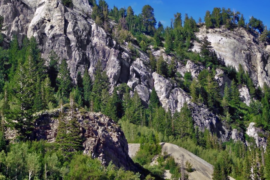 Photo Schynige Platte Panorama Trail