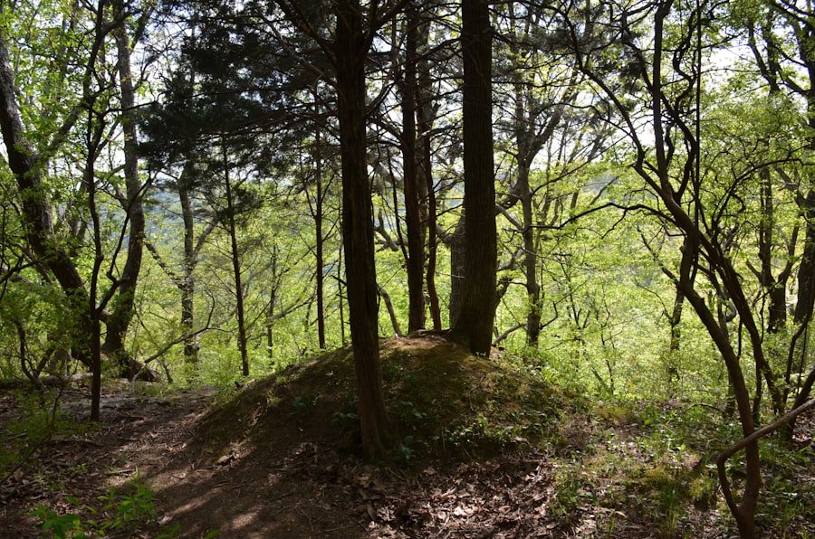 Photo Stoos Ridge Hike