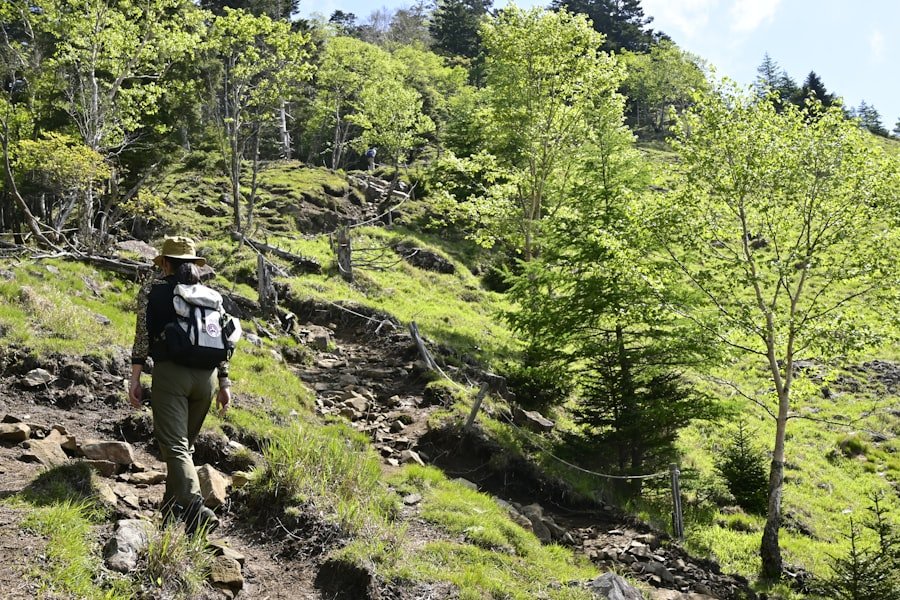 Photo Bachalpsee hike trail guide