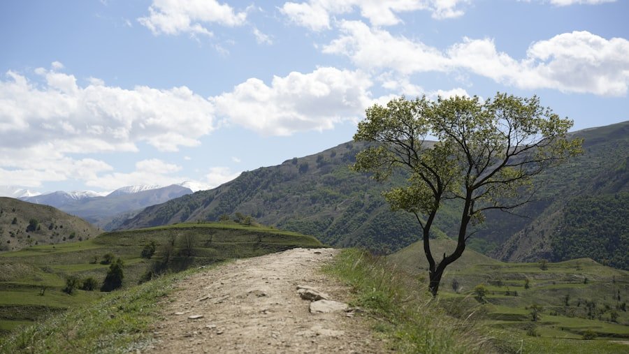 Photo Bachalpsee hike