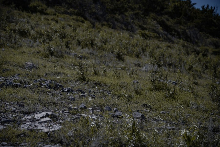 Photo Creux du Van hike