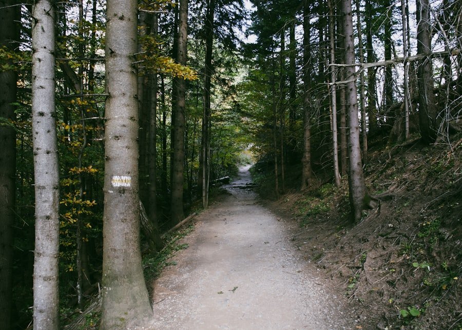 Photo Lauterbrunnen valley walk