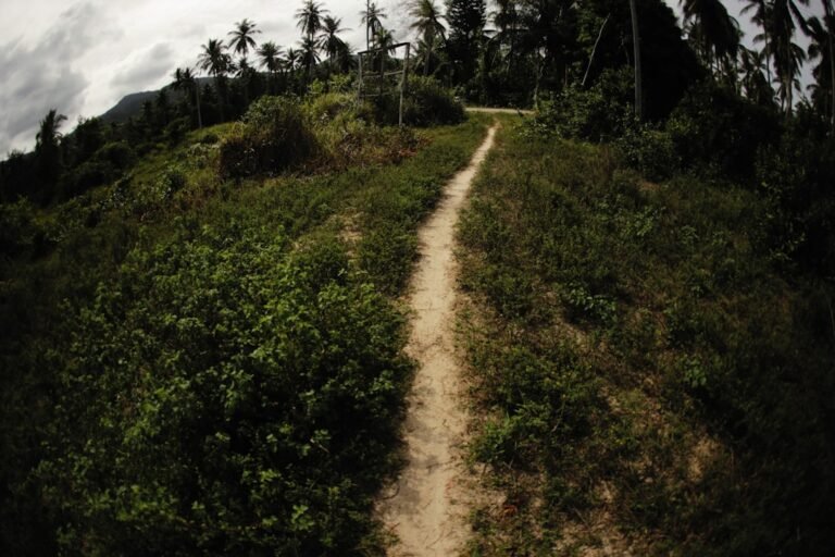 Photo Rigi Panorama trail difficulty