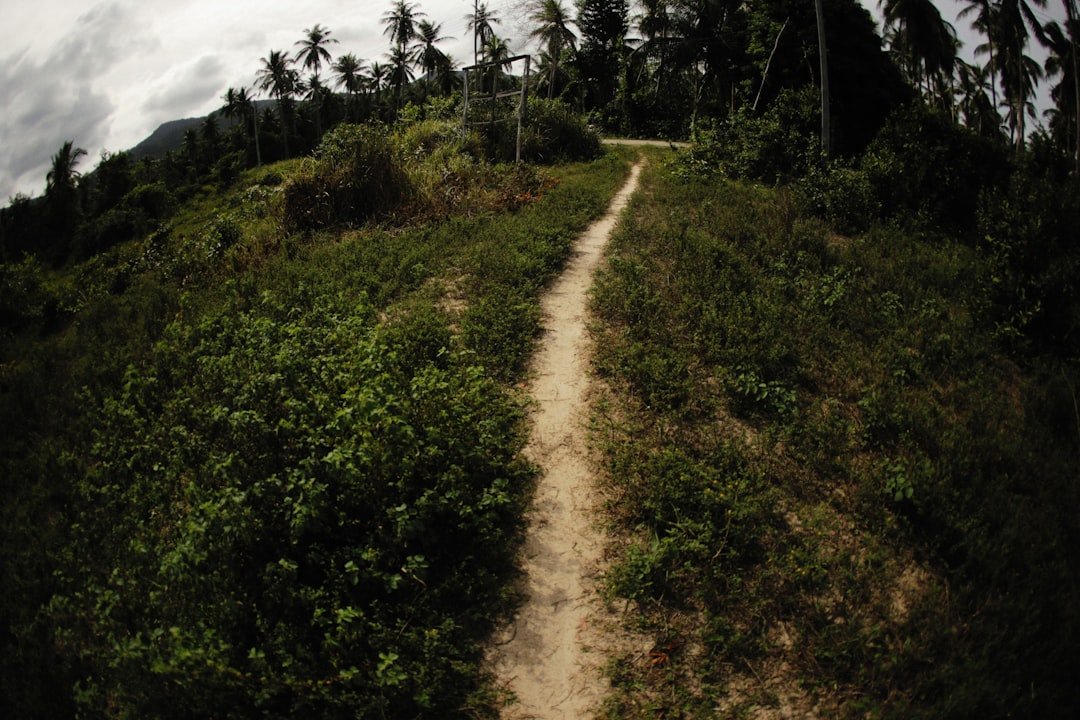 Photo Rigi Panorama trail difficulty