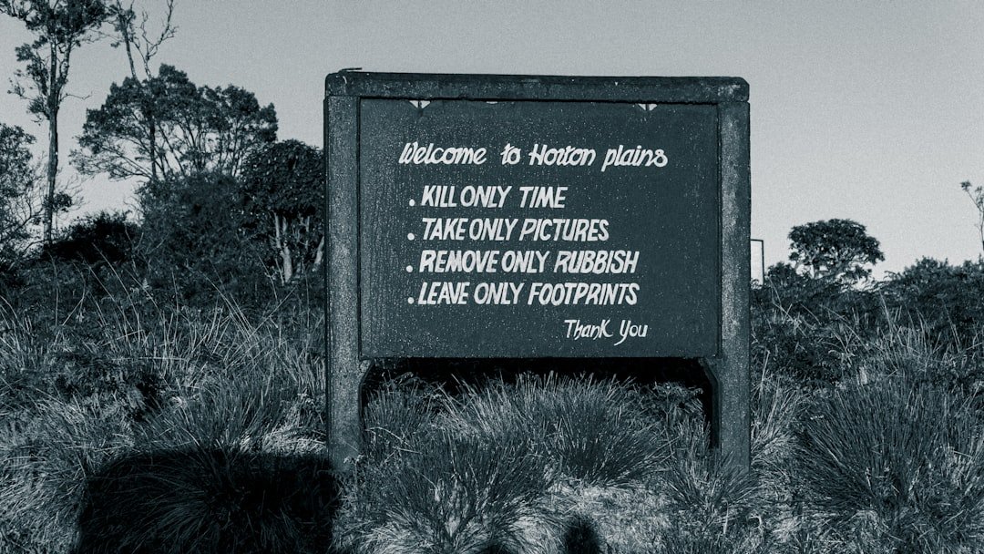 Photo Engstligen Falls best time to visit