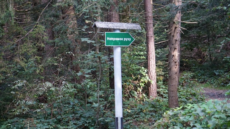 Photo Engstligen Falls visiting guide