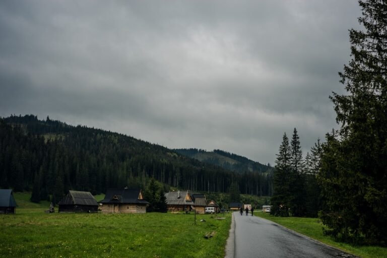 Photo Crestasee walk