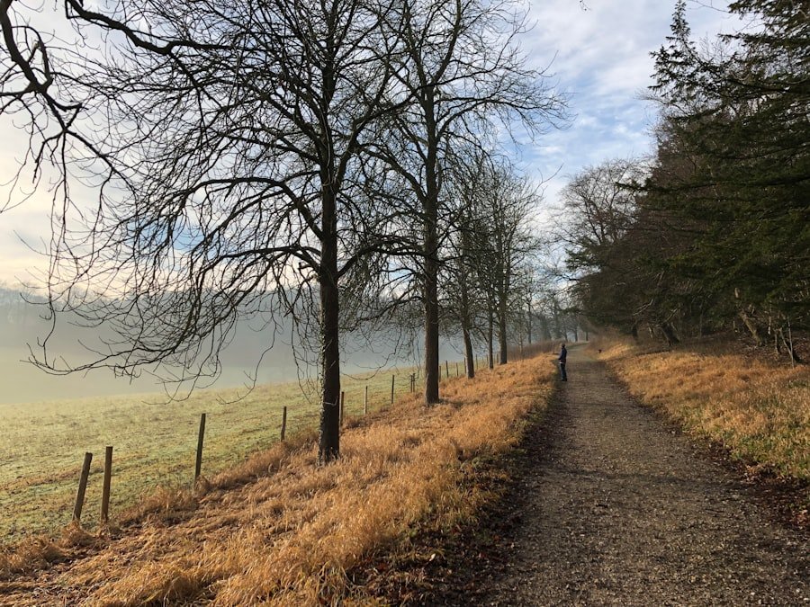 Photo Crestasee walk