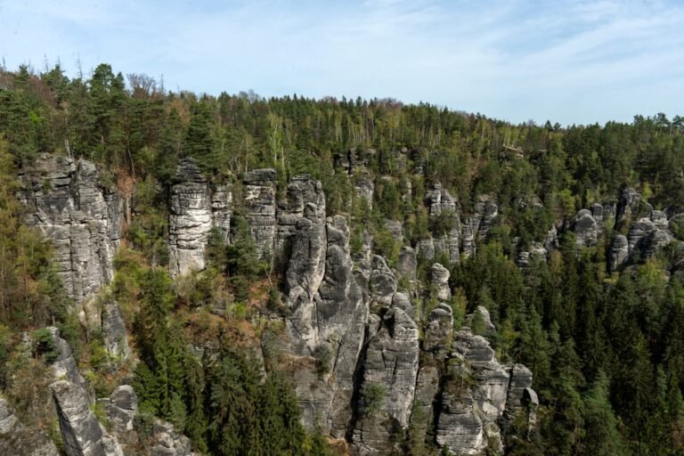 Photo Reichenbach Falls