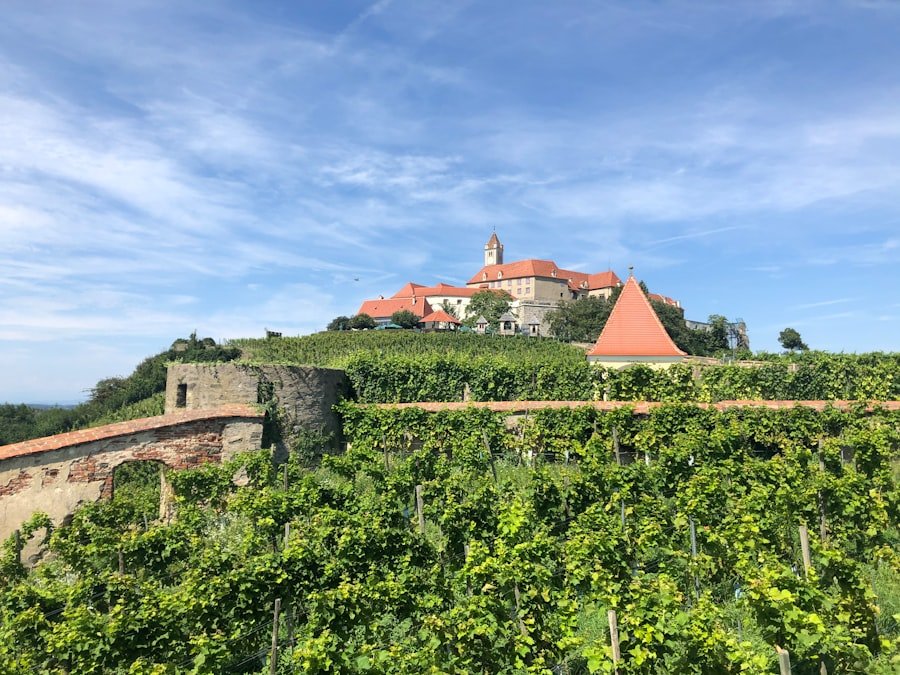 Photo Lenzburg Castle guide