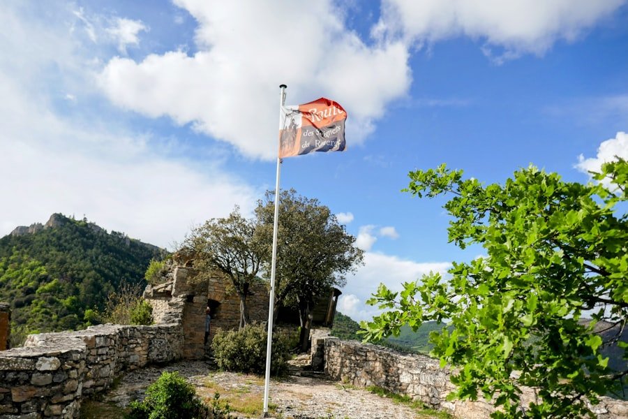 Photo Chillon Castle visiting tips
