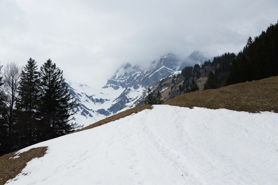 Photo snowshoeing Switzerland beginners