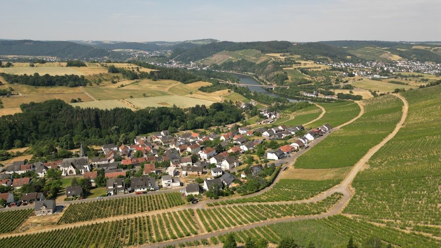Photo Swiss wine regions guide
