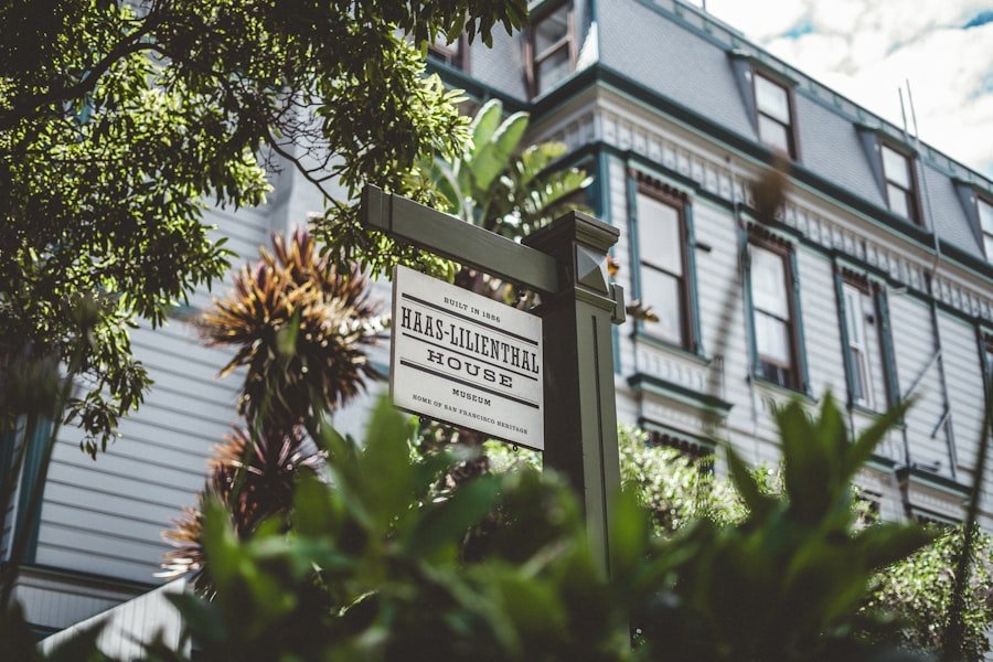 Promenade and swimmers along the Rhine in Basel on a summer day