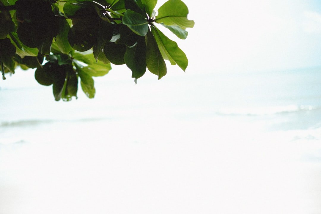 Photo day trip Bern Murten