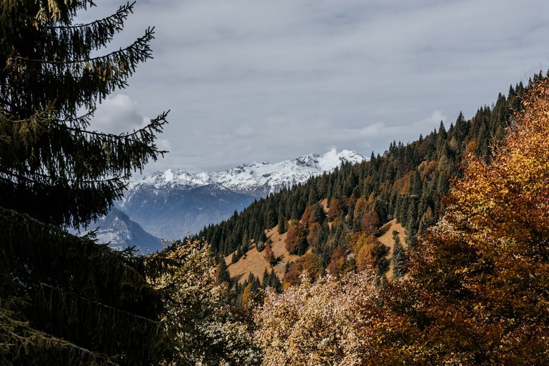 Photo Swiss Alps autumn foliage spots