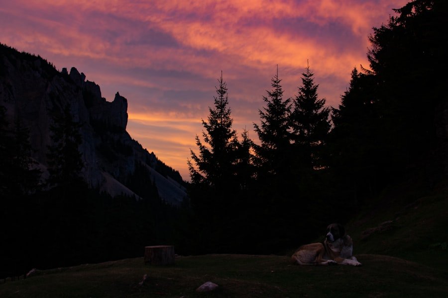 Photo sunset spots Switzerland