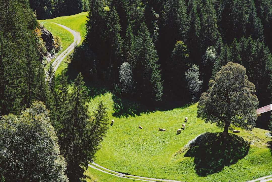 Photo Grindelwald itinerary