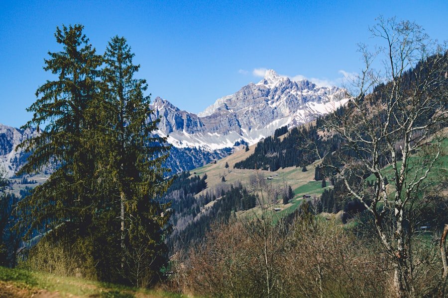 Photo Grindelwald itinerary 1 day