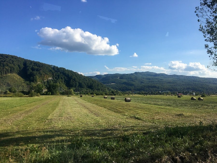 Photo day trips from Wengen