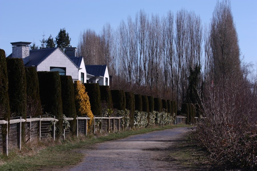 Festival time in Mürren, Switzerland