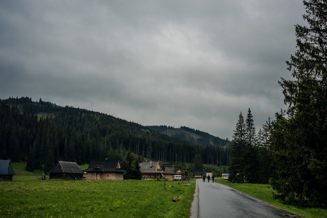 Photo day trips from Murren