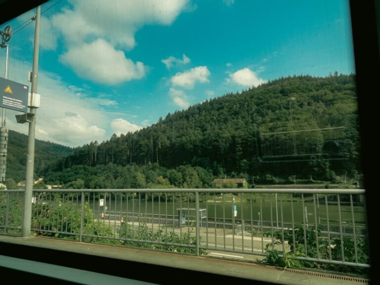 Photo day trips from Zug