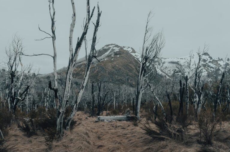 Photo Creux du Van hike