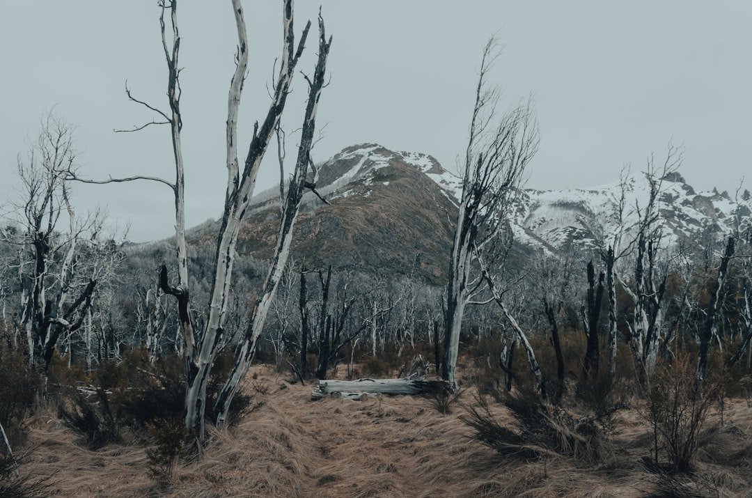 Photo Creux du Van hike