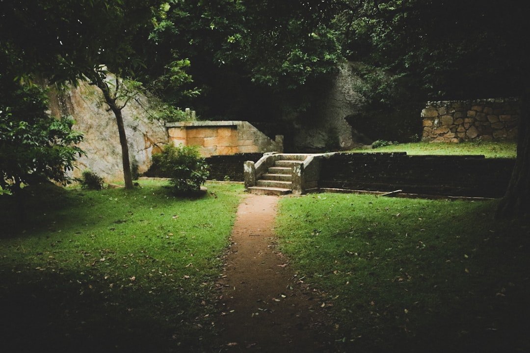 Photo Rosenbaum House tour