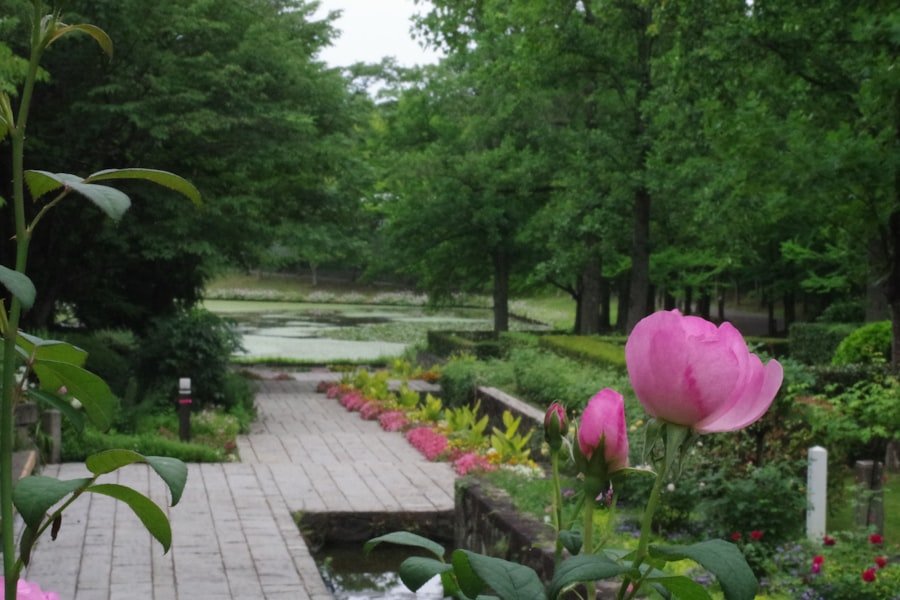 Photo Huntsville Botanical Garden guide