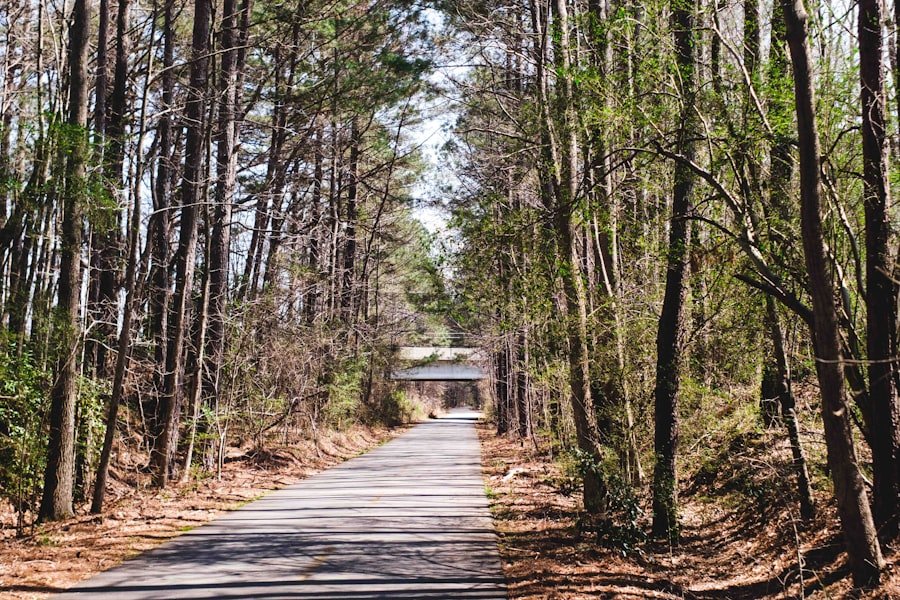 Photo Selma to Montgomery trail guide