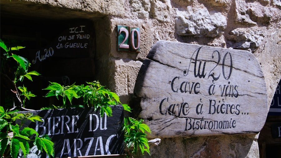 Photo Lavaux vineyards travel guide
