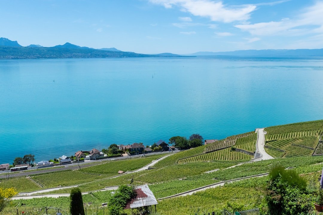 Photo Lavaux vineyards