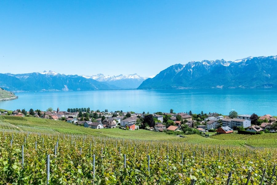 Photo Lavaux vineyards