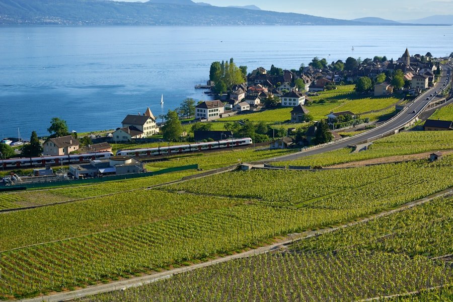 Photo Lavaux vineyards