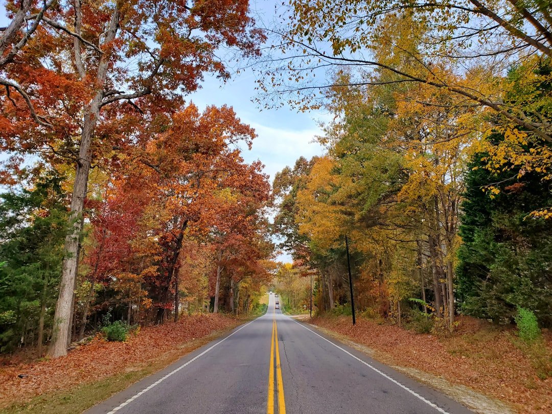 Photo fall foliage drives Alabama