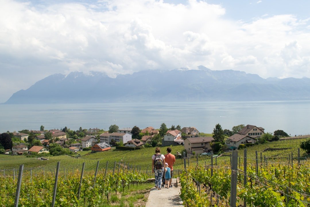 Photo Lavaux vineyards