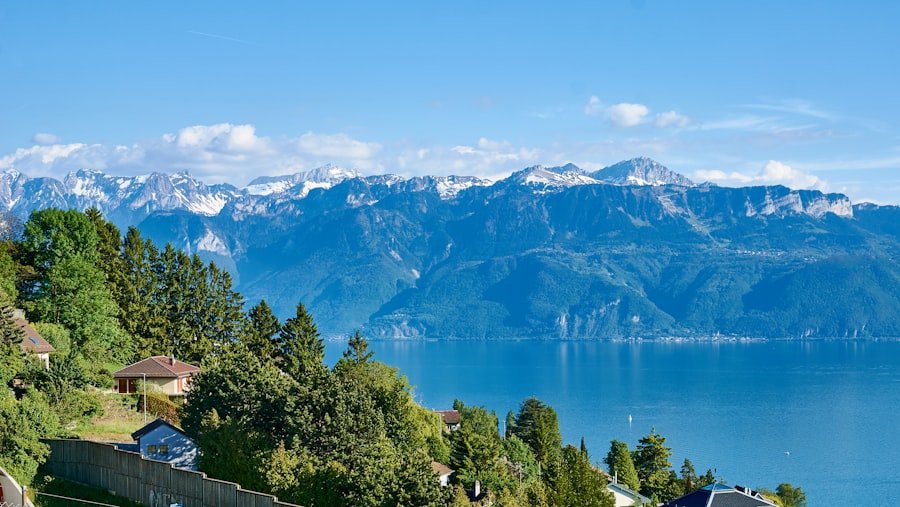 Lake Geneva and Lavaux vineyards seen from a hillside viewpoint