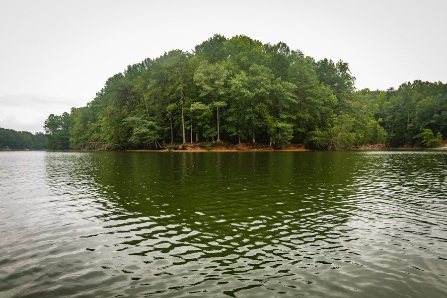Photo swimming holes Alabama