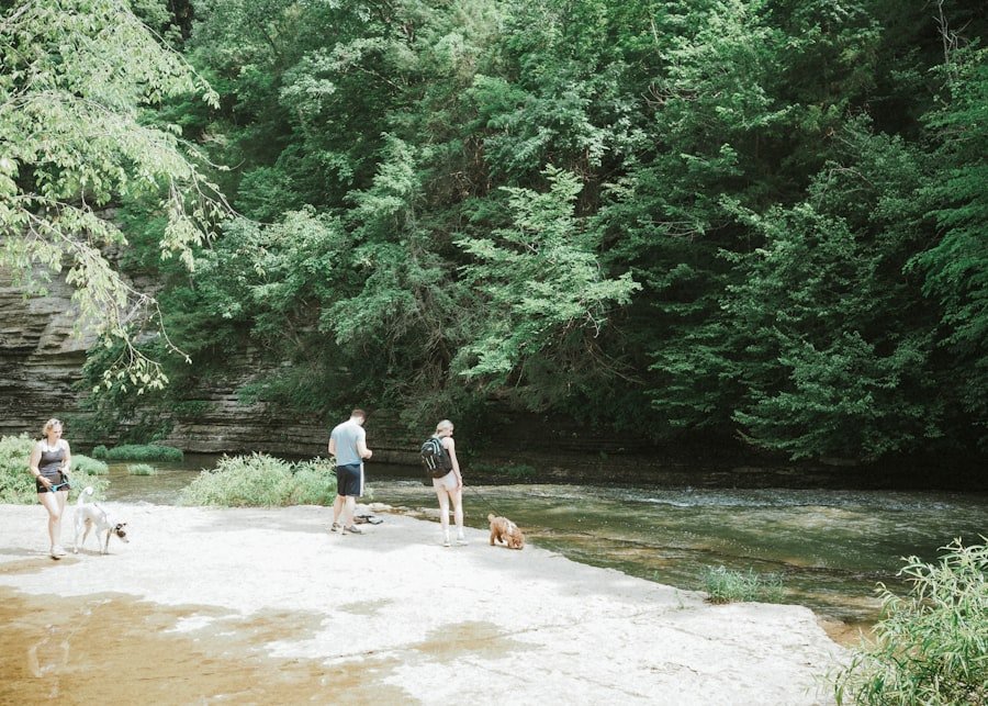 Photo family friendly hikes Alabama