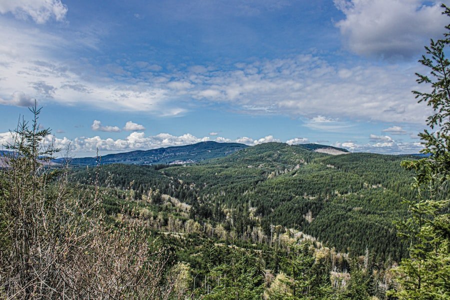Photo Gornergrat viewpoint
