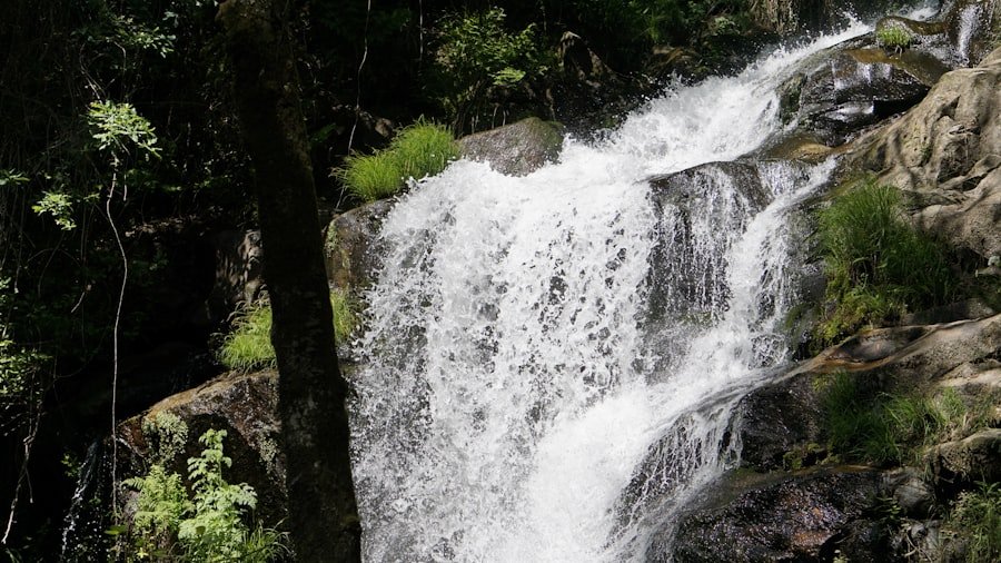 Photo Noccalula Falls hiking tips