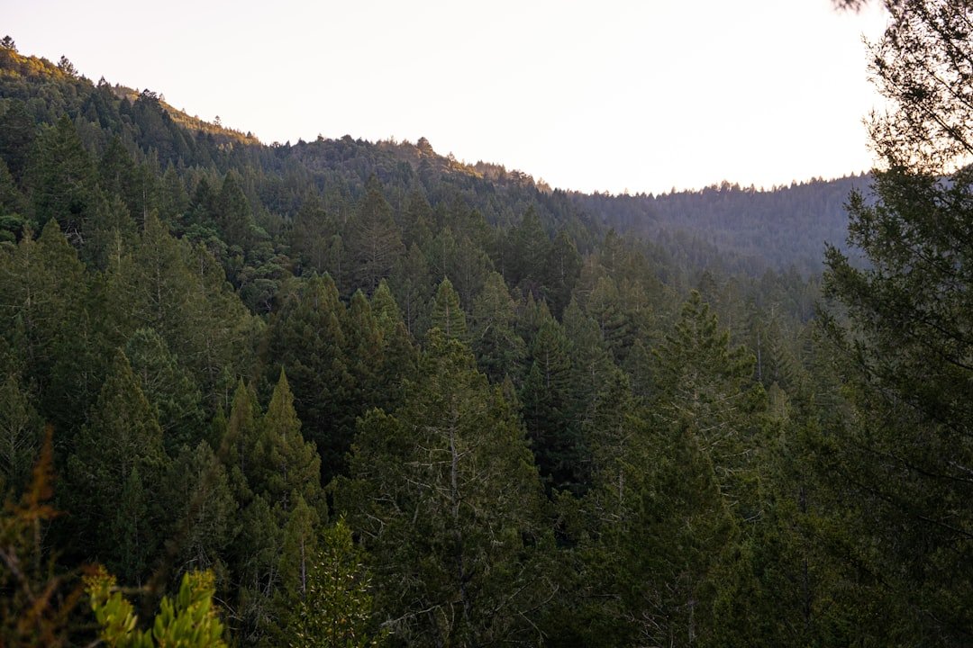 Photo Oak Mountain State Park