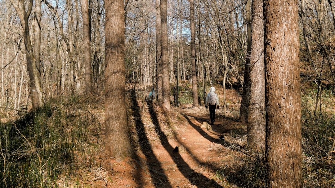 Photo state parks Alabama
