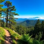 hiking trails near russellville