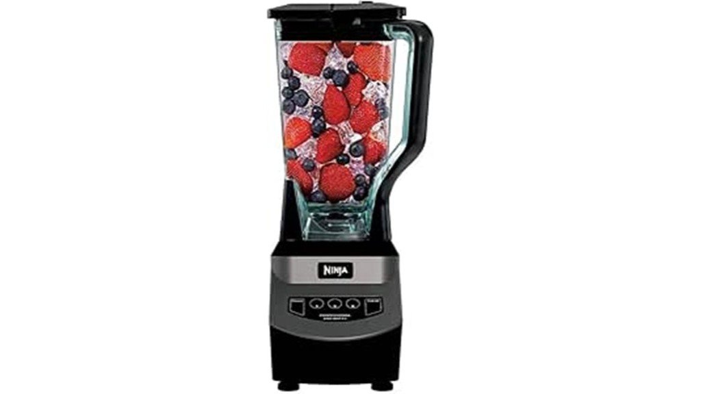 powerful blender for beverages